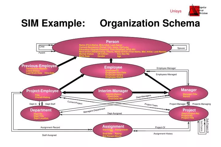 sim example organization schema