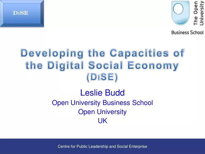 developing the capacities of the digital social economy d i se