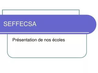 seffecsa