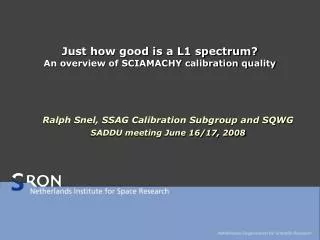 Just how good is a L1 spectrum? An overview of SCIAMACHY calibration quality