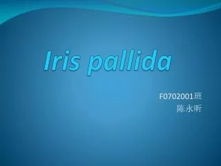 Iris pallida