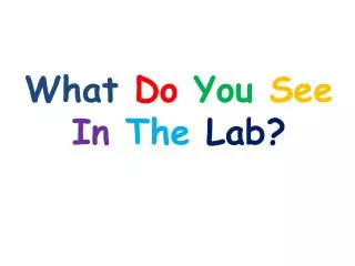 What Do You See In The Lab?