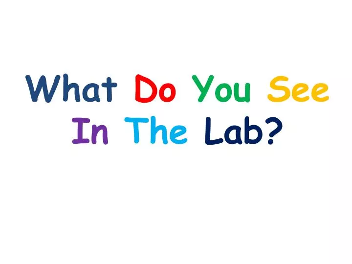 what do you see in the lab