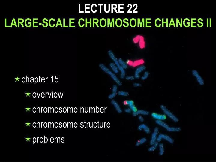 lecture 22 large scale chromosome changes ii