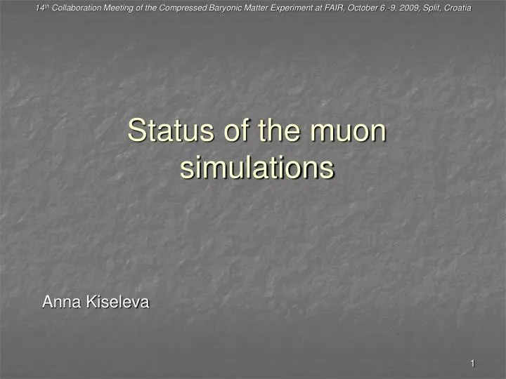status of the muon simulations