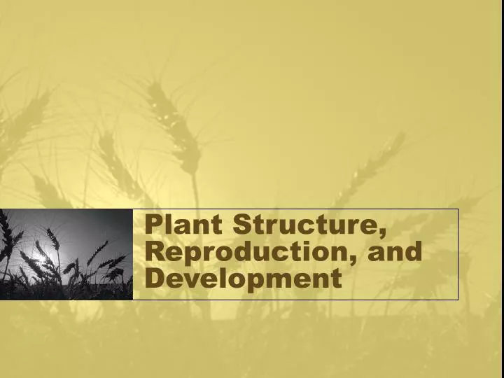 plant structure reproduction and development