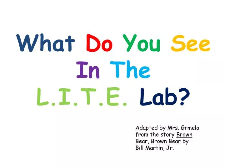 what do you see in the l i t e lab