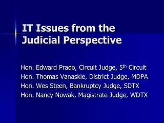 IT Issues from the Judicial Perspective
