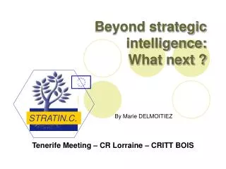 Beyond strategic intelligence: What next ?