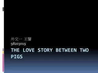 The Love Story Between Two Pigs