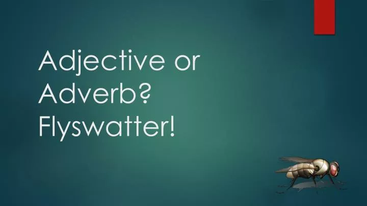 adjective or adverb flyswatter