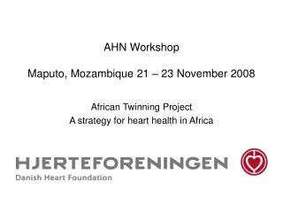 AHN Workshop Maputo, Mozambique 21 – 23 November 2008