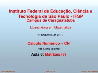 Cálculo Numérico – CN Prof. Lineu Mialaret Aula 6: Matrizes (3)