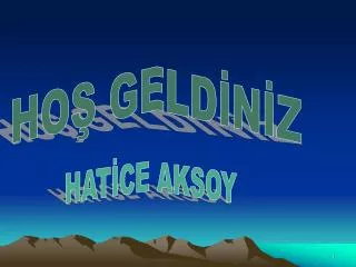 HATİCE AKSOY