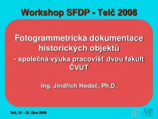 Workshop SFDP - Telč 2008