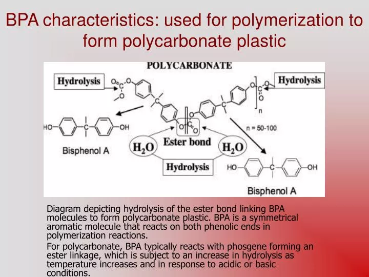 bpa characteristics used for polymerization to form polycarbonate plastic