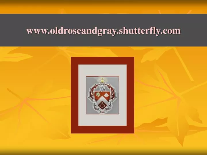 www oldroseandgray shutterfly com