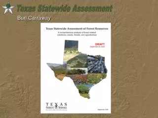 Texas Statewide Assessment