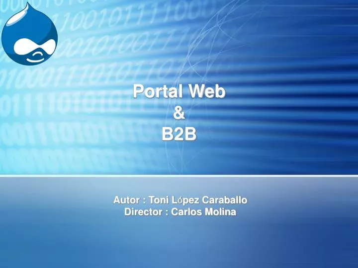 portal web b2b