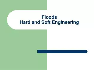 Floods Hard and Soft Engineering