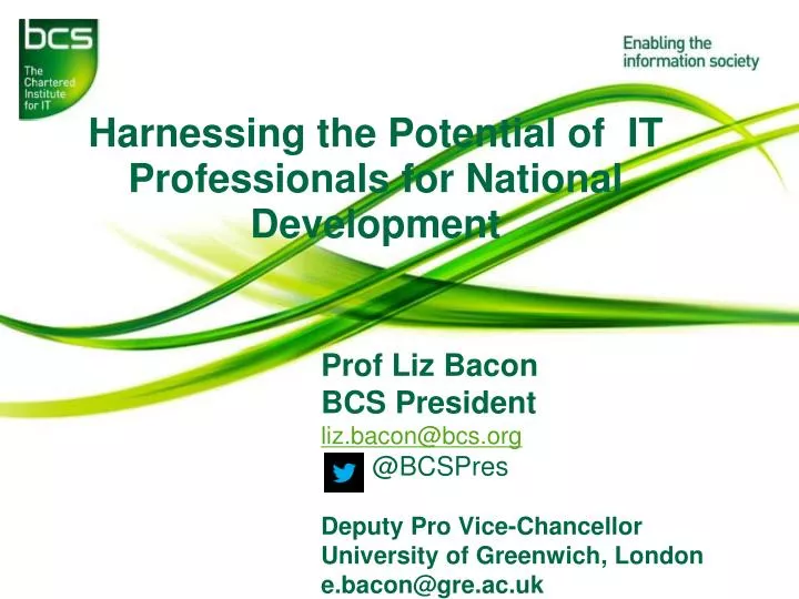 harnessing the p otential of it professionals for national development