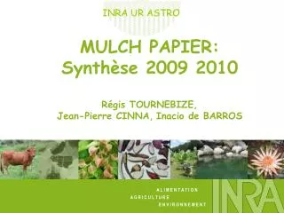 MULCH PAPIER: Synthèse 2009 2010 Régis TOURNEBIZE, Jean-Pierre CINNA, Inacio de BARROS