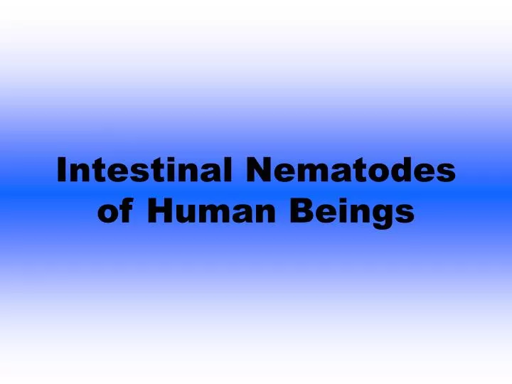 intestinal nematodes of human beings