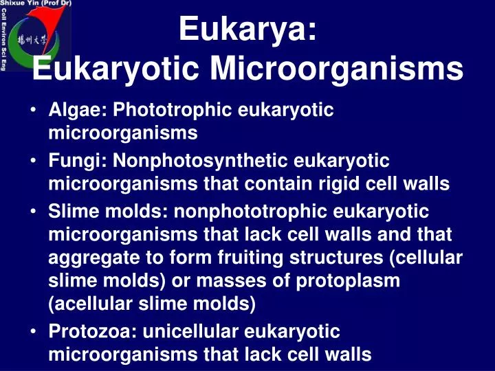 eukarya eukaryotic microorganisms