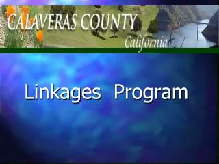 Linkages Program
