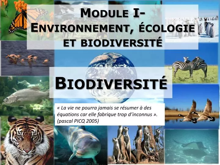 module i environnement cologie et biodiversit