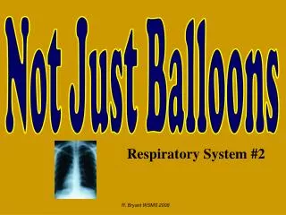 Respiratory System #2