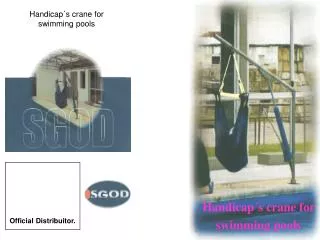 Handicap´s crane for swimming pools