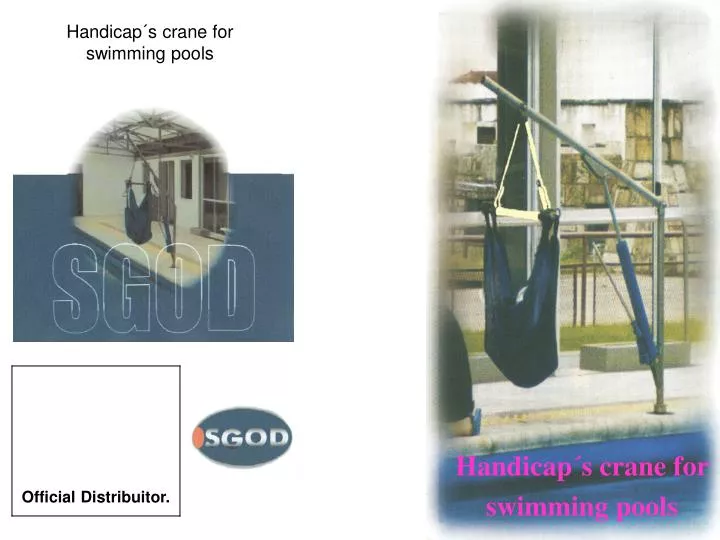 handicap s crane for swimming pools
