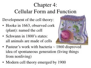 Chapter 4: Cellular Form and Function