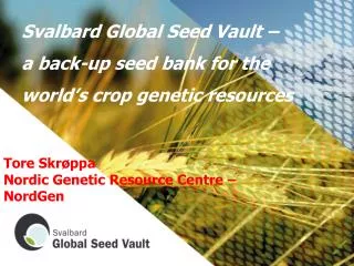 Svalbard Global Seed Vault – a back-up seed bank for the world’s crop genetic resources