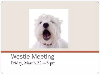 Westie Meeting