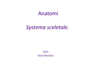 Anatomi Systema sceletale .