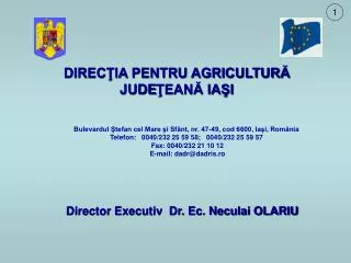 Director Executiv Dr. Ec. Neculai OLARIU