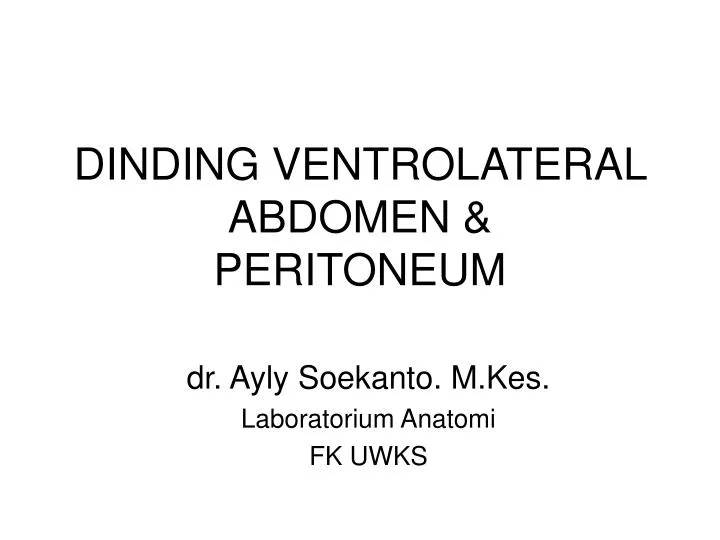 dinding ventrolateral abdomen peritoneum