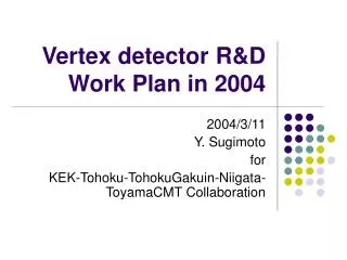 Vertex detector R&amp;D Work Plan in 2004
