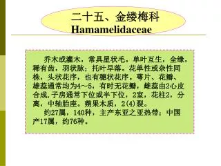 二十五、金缕梅科 Hamamelidaceae