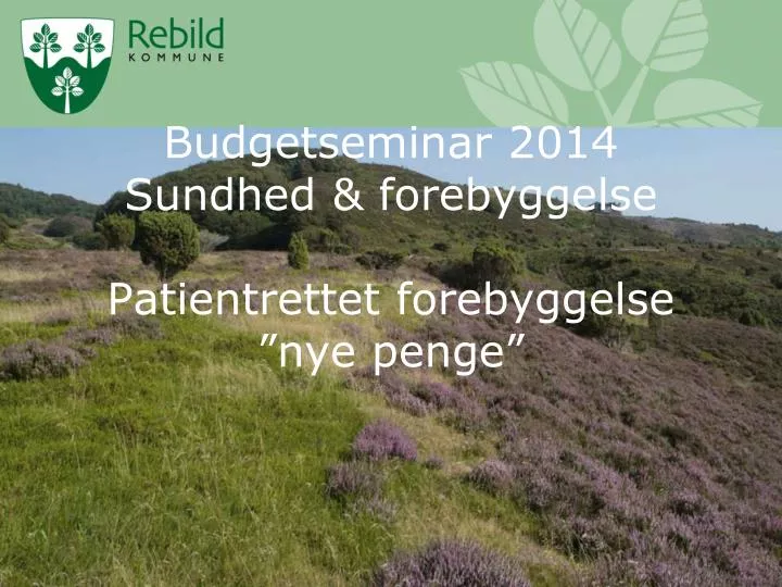 budgetseminar 2014 sundhed forebyggelse patientrettet forebyggelse nye penge