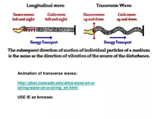 Animation of transverse waves: