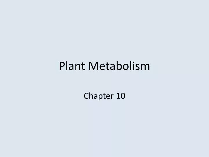 plant metabolism