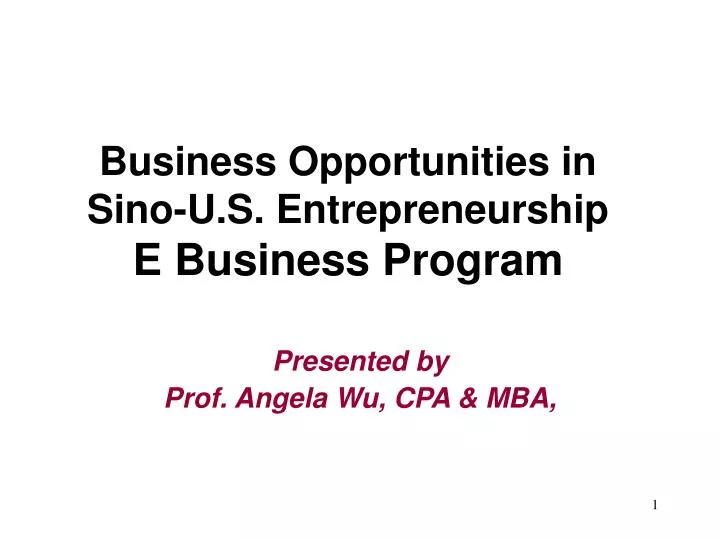 business opportunities in sino u s entrepreneurship e business program