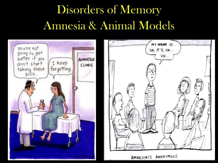 disorders of memory amnesia animal models