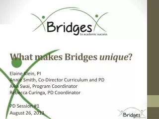 What makes Bridges unique ?