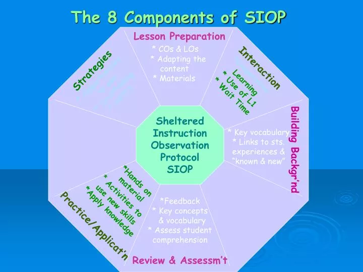 the 8 components of siop