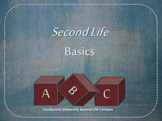 Second Life Basics