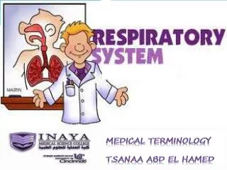 MEDICAL TERMINOLOGY T.sanaa abd el hamed